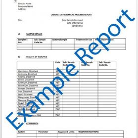 Example analysis report