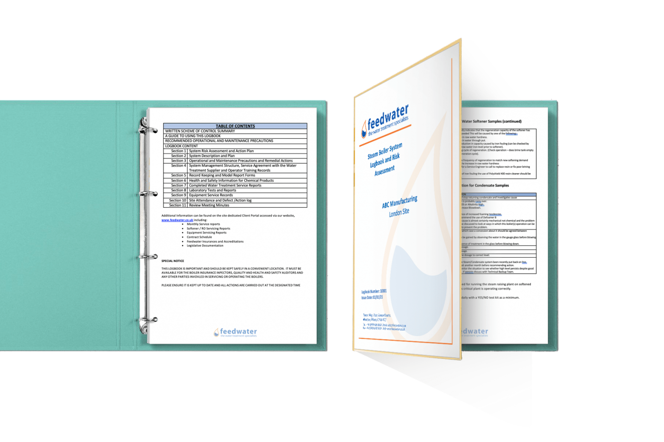 Steam Boiler Risk Assessment Service by Feedwater Experts